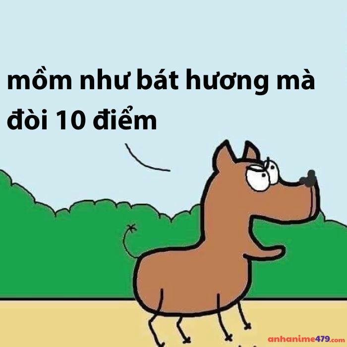 10 điểm meme chó hài