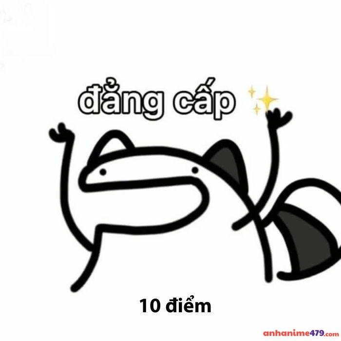10 điểm meme cute