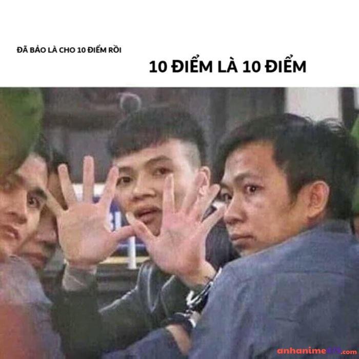10 điểm meme khá bảnh 10 điểm là 10 điểm