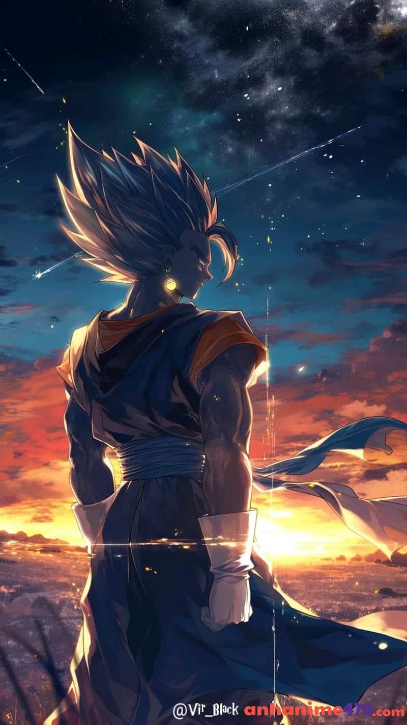 Vegeta aniem