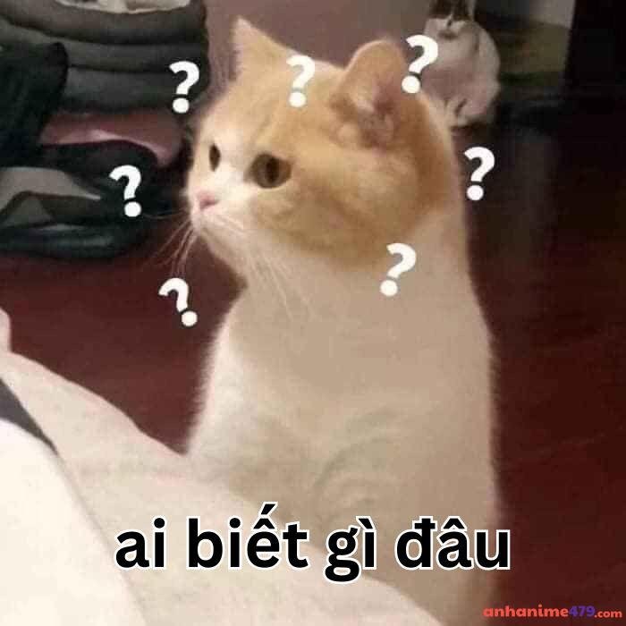 ai biết gì đâu meme best hài