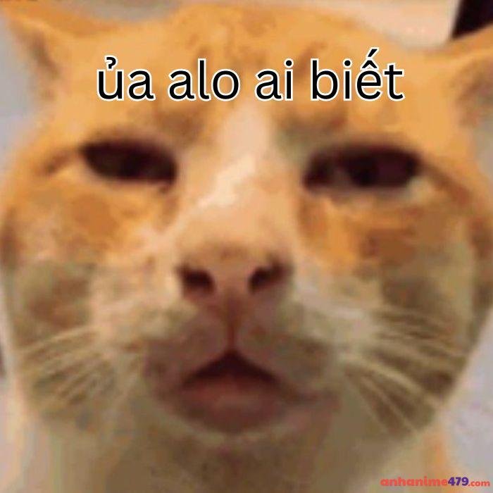 ai biết gì đâu meme buồn cười