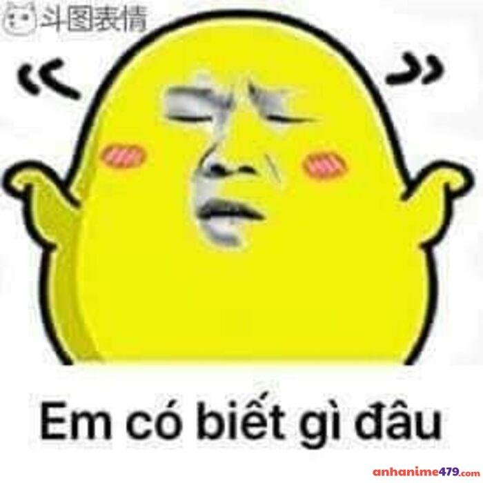 ai biết gì đâu meme hài