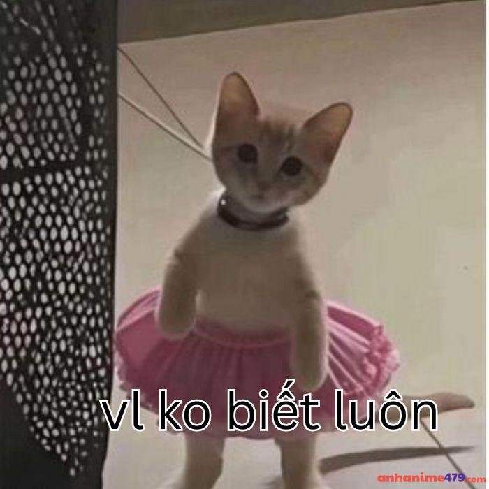 ai biết gì đâu meme rất hài