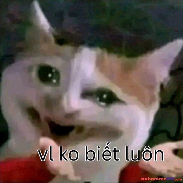 ai biết gì đâu meme siêu hài