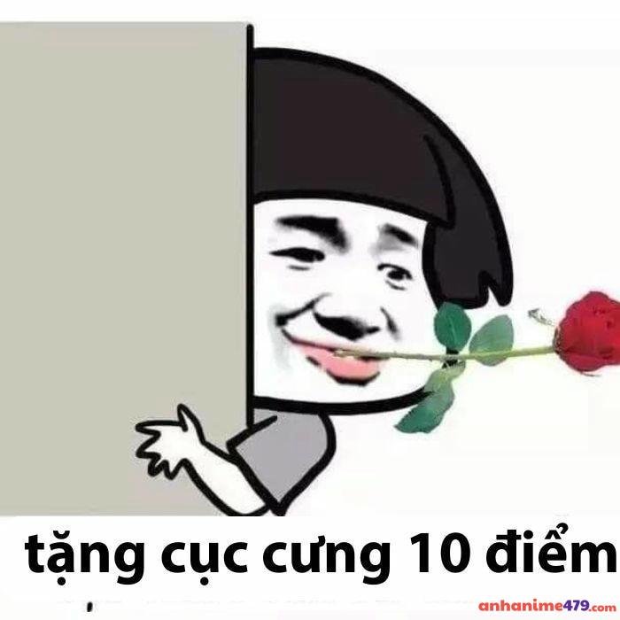ảnh 10 điểm meme hài nhây