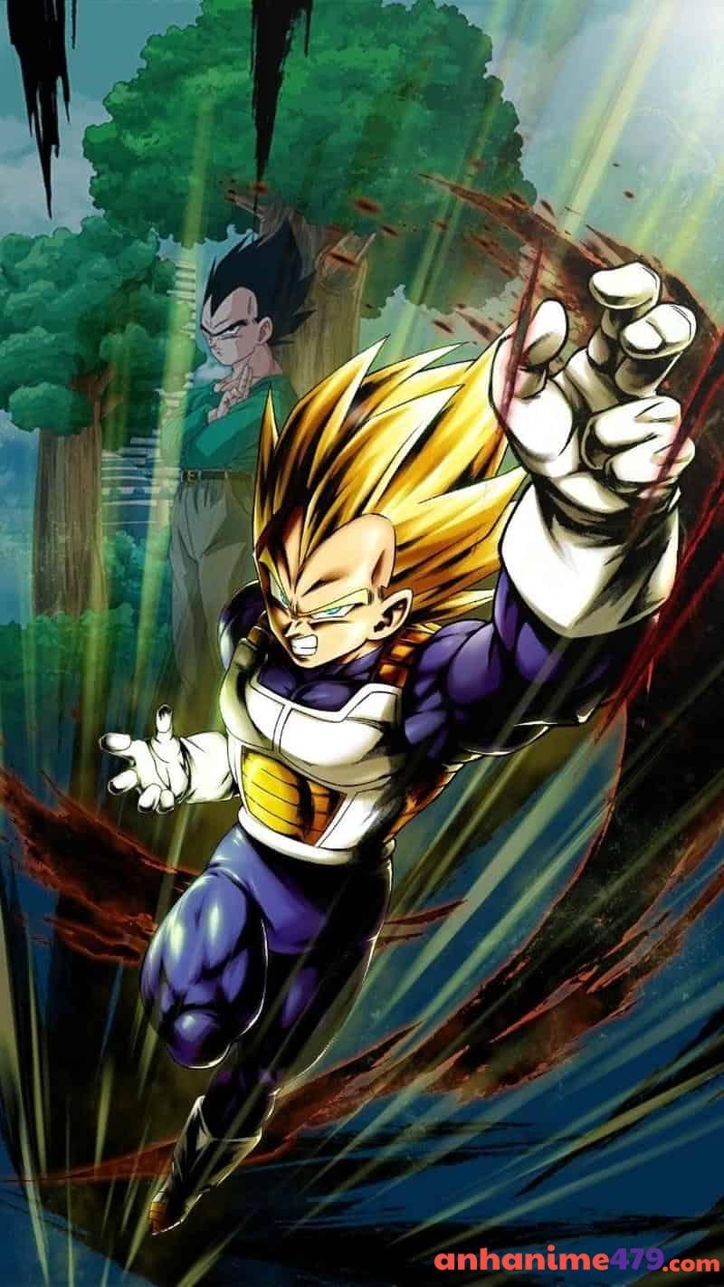 ảnh Vegeta hình