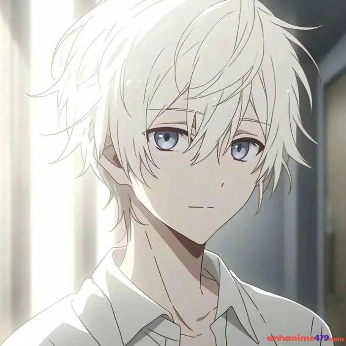 ảnh anime nam tóc trắng
