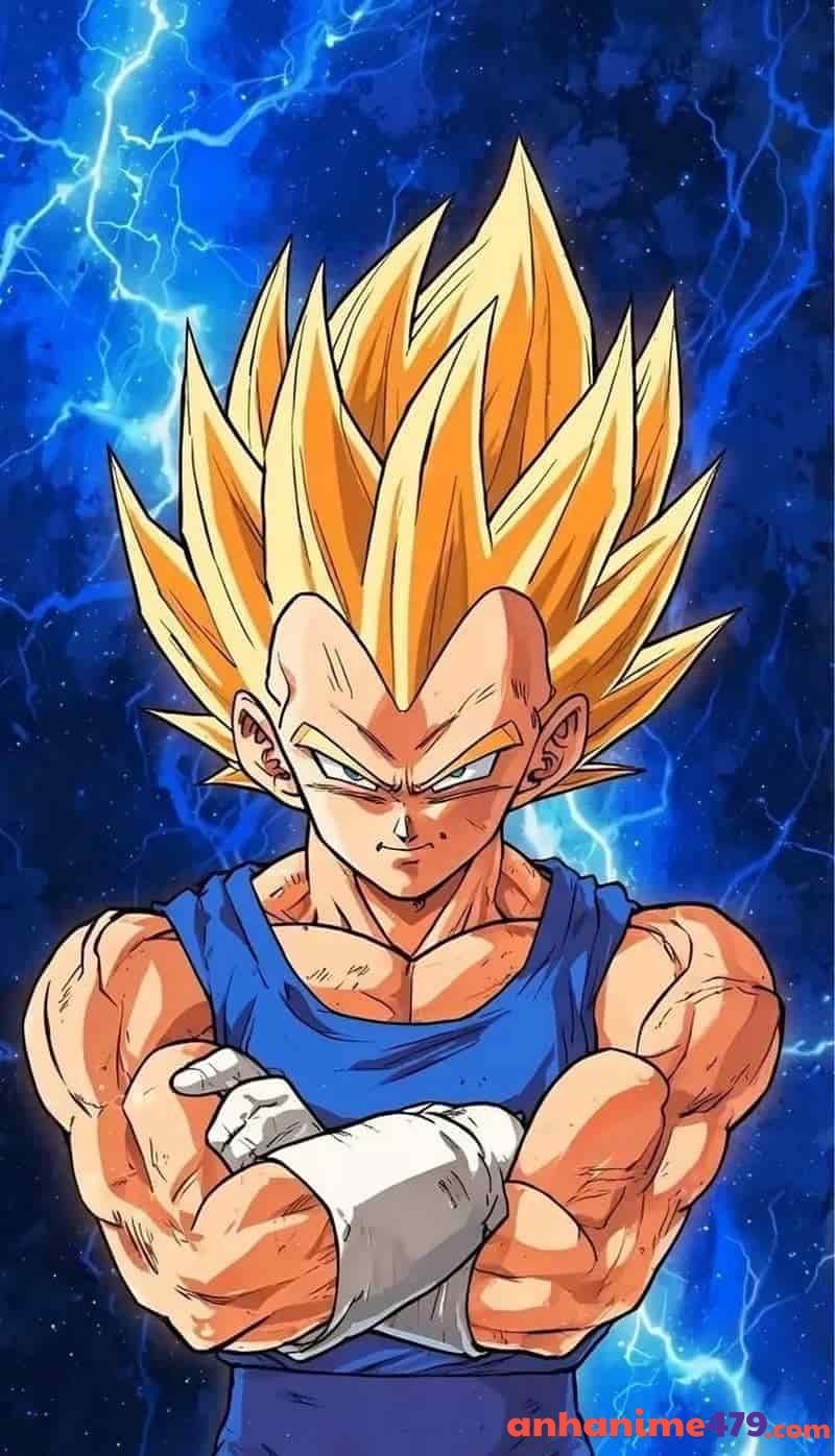 ảnh bìa Vegeta