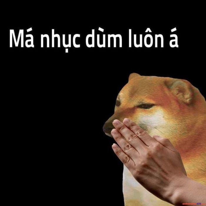 ảnh chế meme quê bựa