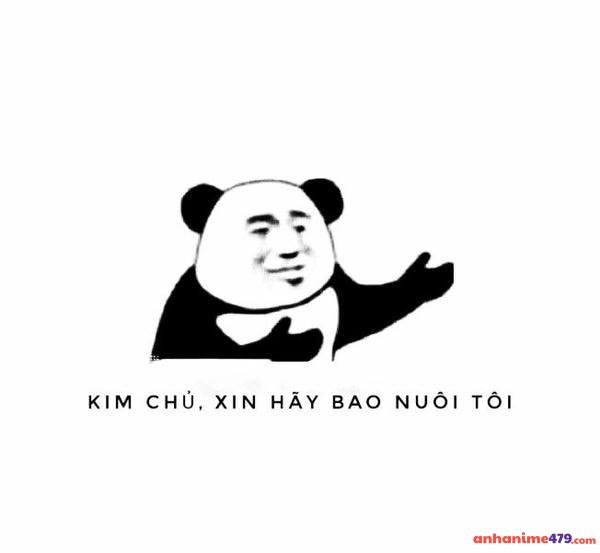 ảnh chế meme xin tiền khổ sở
