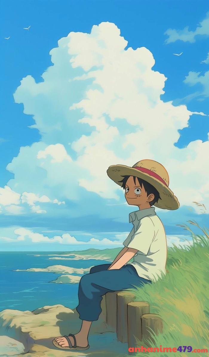 ảnh luffy phong trần