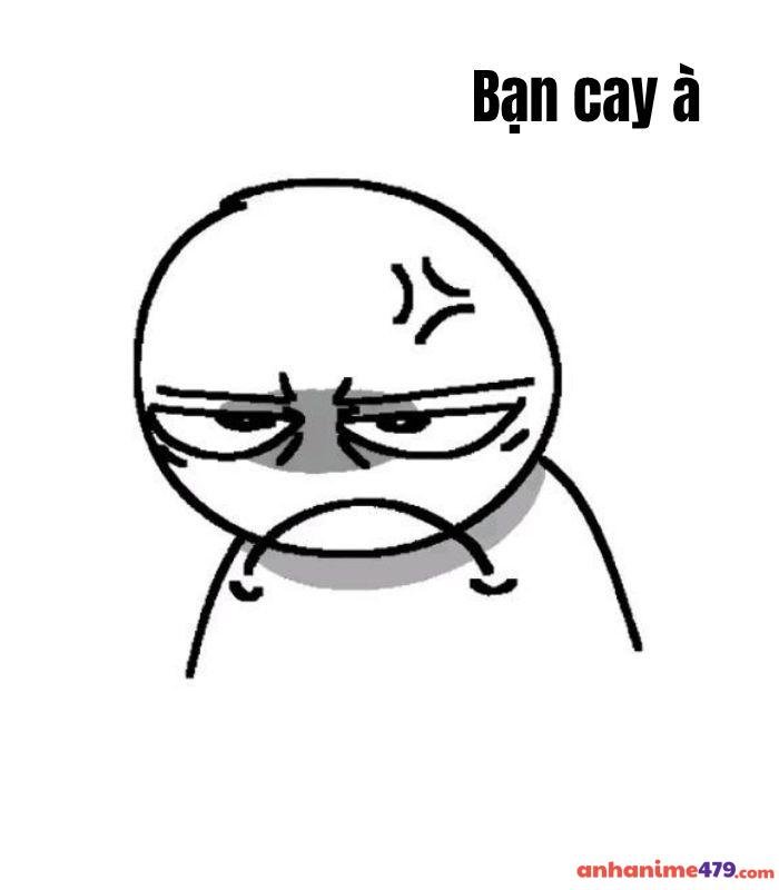 ảnh meme bạn cay à troll hài