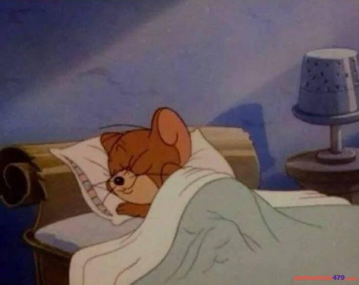 ảnh meme buồn ngủ hài nhất