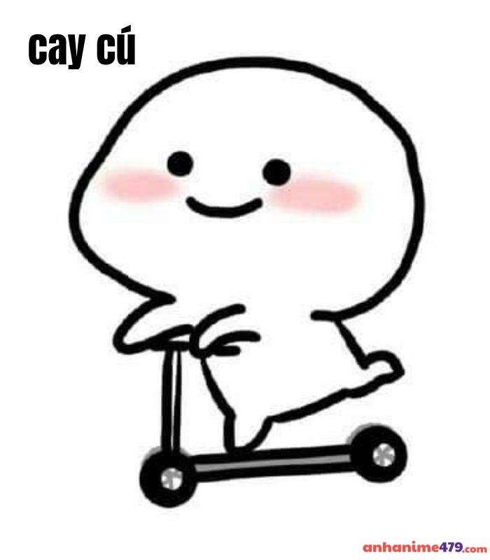 ảnh meme cay cú hài độc