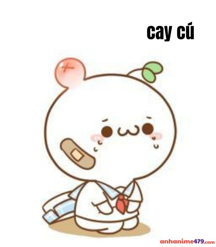 ảnh meme cay cú hài nhấ