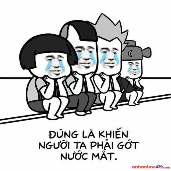 ảnh meme gấu trúc khóc