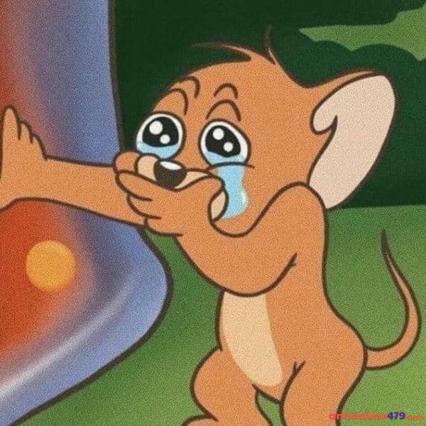 ảnh meme khóc chế