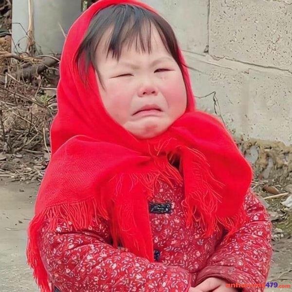 ảnh meme khóc hài