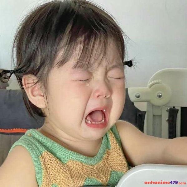 ảnh meme khóc