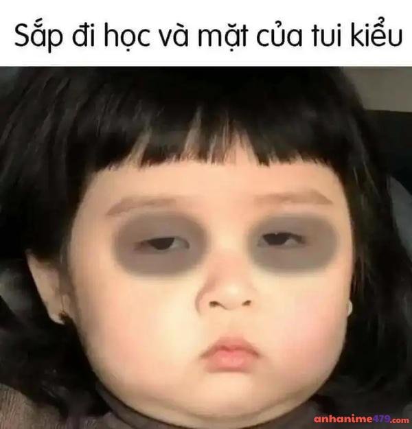 ảnh meme mất ngủ cảm xúc