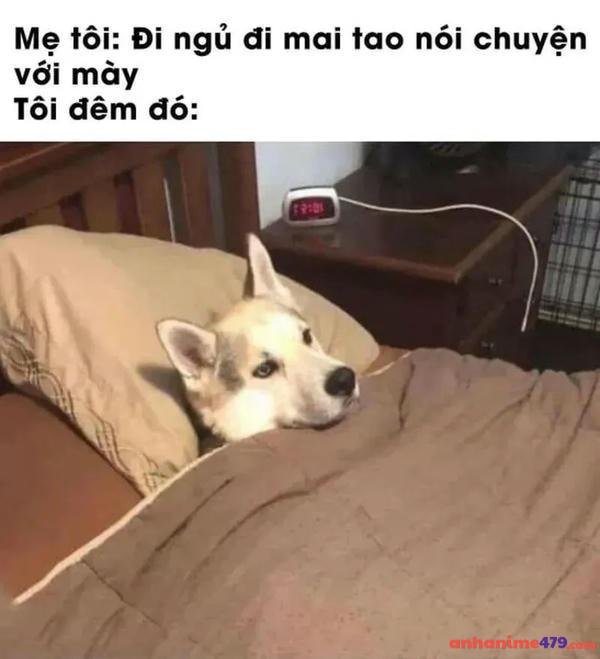 ảnh meme mới ngủ dậy cực bá đạo