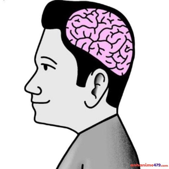 ảnh meme não cực hài