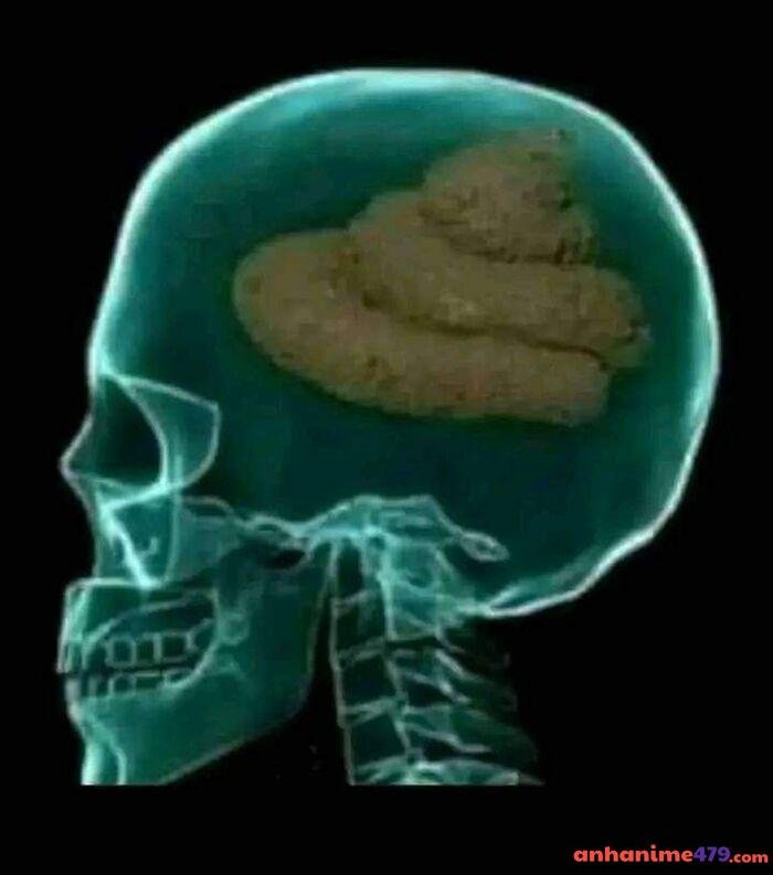 ảnh meme não hài