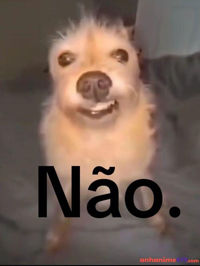 ảnh meme não siêu hài
