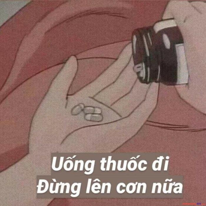 ảnh meme ngu chế