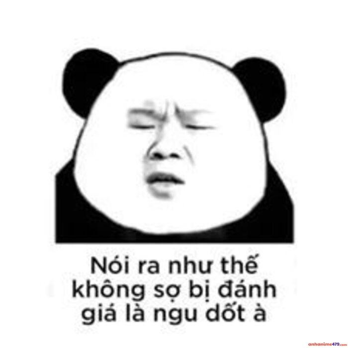 ảnh meme ngu version hài