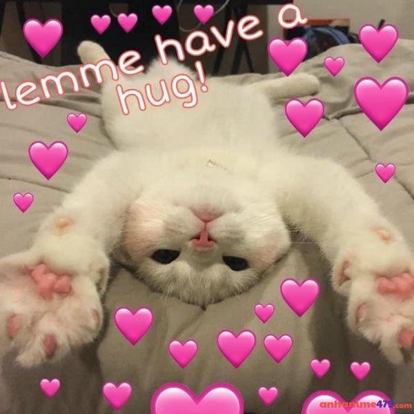 ảnh meme thả tim