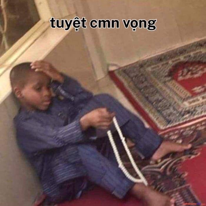 ảnh meme thất vọng hài hước