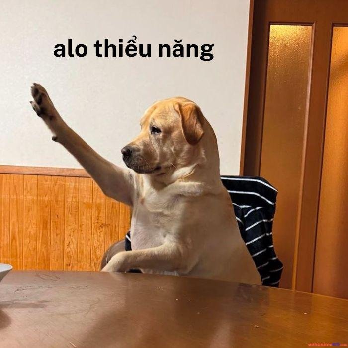 ảnh meme thiểu năng ngốc hài