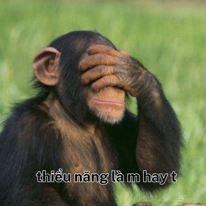 ảnh meme thiểu năng