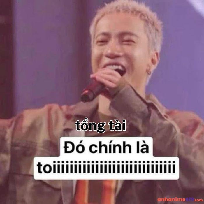 ảnh meme tổng tài hot