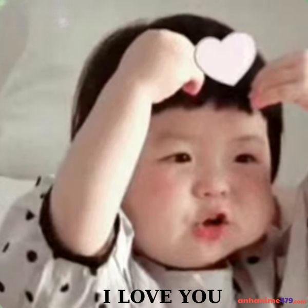 ảnh meme vô tri chế