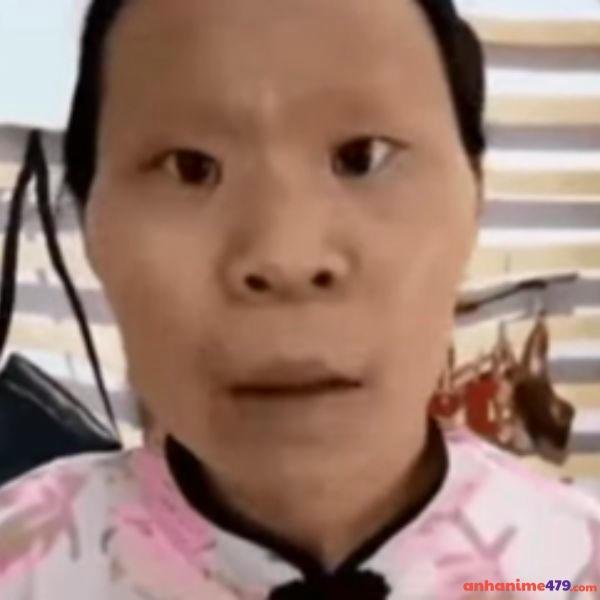 ảnh meme vô tri hài