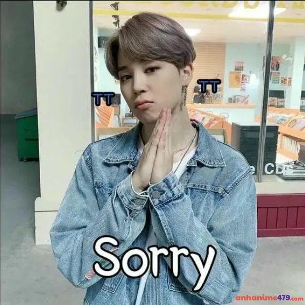 ảnh meme xin lỗi troll