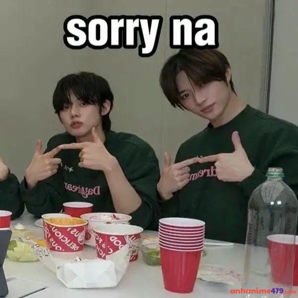 ảnh meme xin lỗi