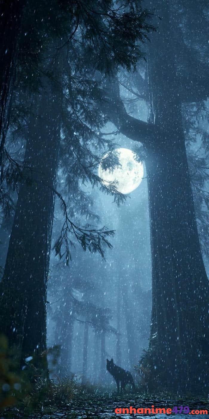 ảnh mưa buồn anime đẹp