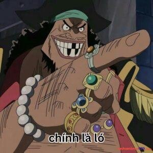 ảnh râu đen meme hài cực bựa