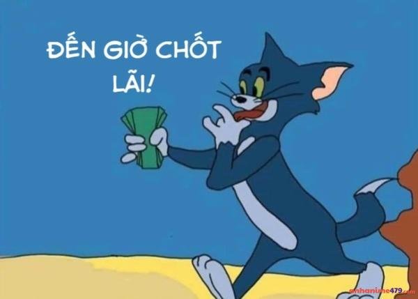 ảnh tiền meme hài