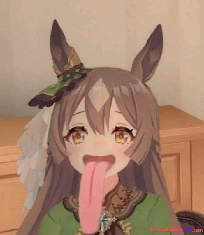ảnh uma musume meme ảo