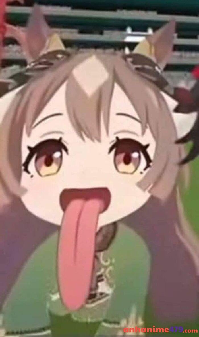 ảnh uma musume meme cute