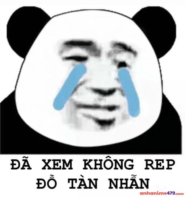 ảnh vừa cười vừa khóc meme nổi bật
