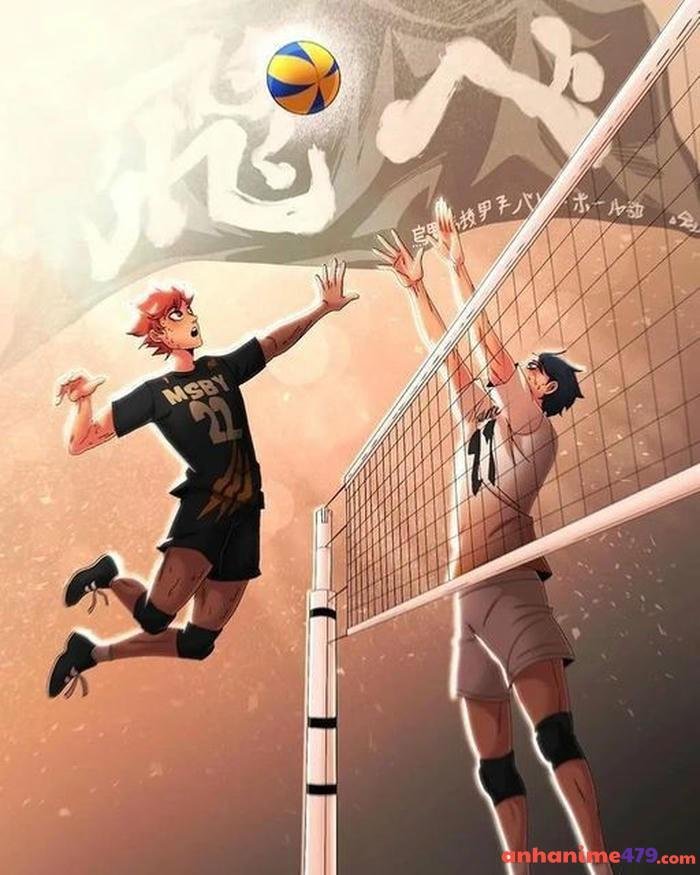 anime bóng chuyền đội nhóm