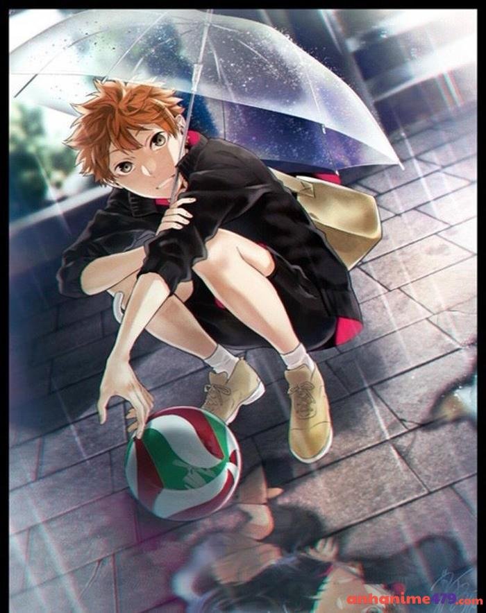 anime bóng chuyền tinh tế