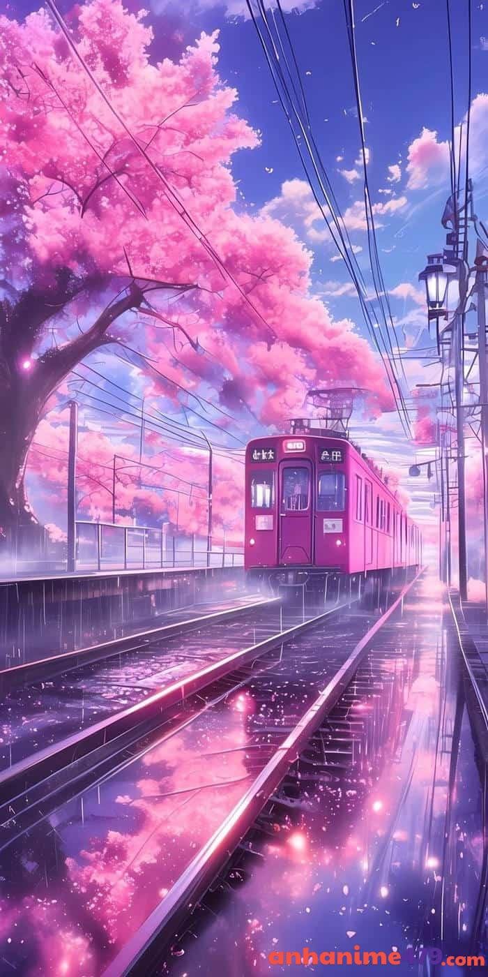 anime hoa anh đào đẹp