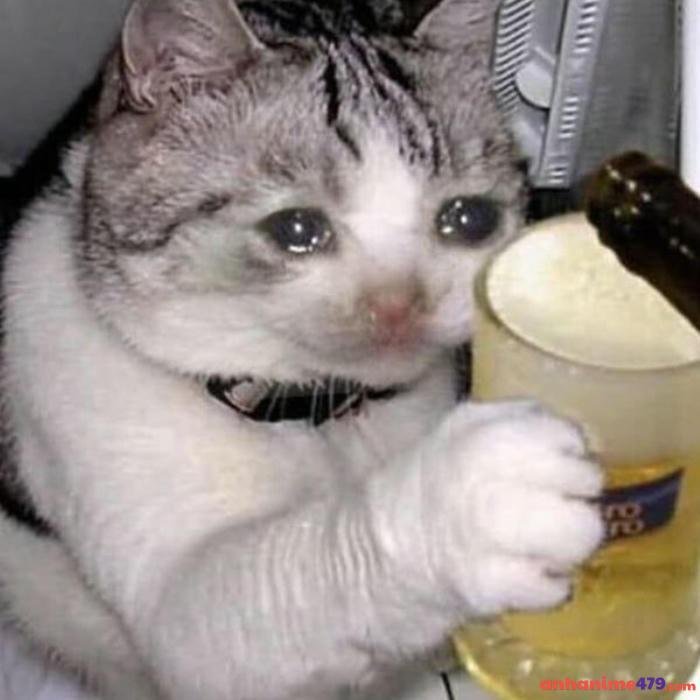 buồn phải đi uống bia